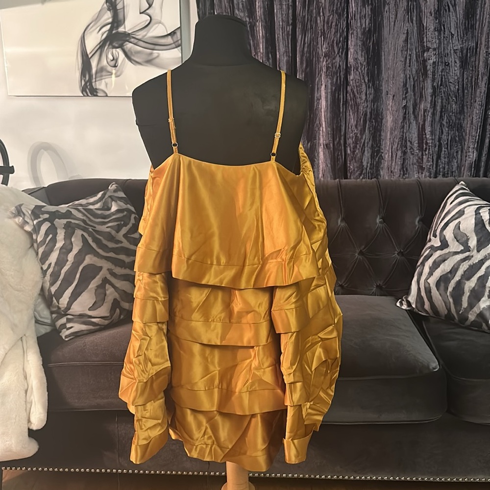 Gold Layered Ruffle Dress - Picture 4 of 4